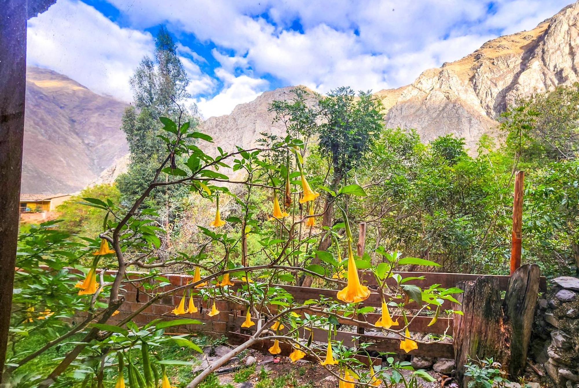 Peru Quechua'S Lodge Ollantaytambo Dış mekan fotoğraf